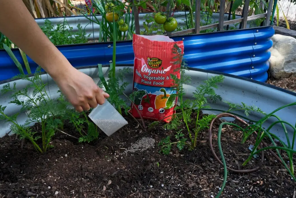 using tomato vegetable and herb plant food in garden