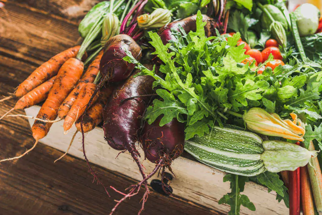 A Gardeners Guide to a Raised Vegetable Garden