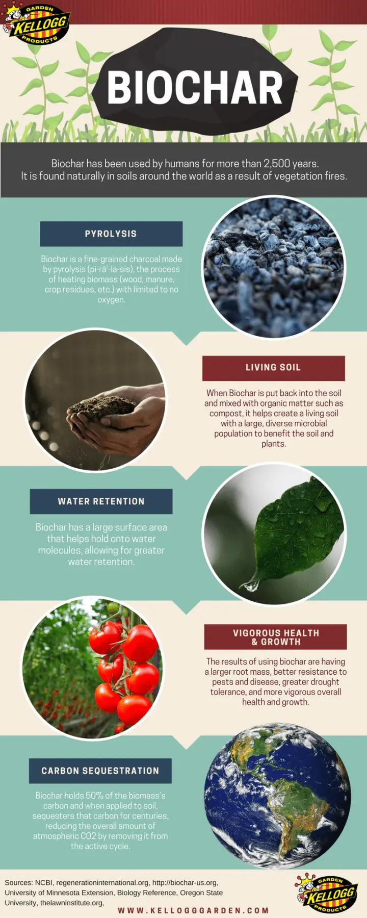 Benefits of Biochar