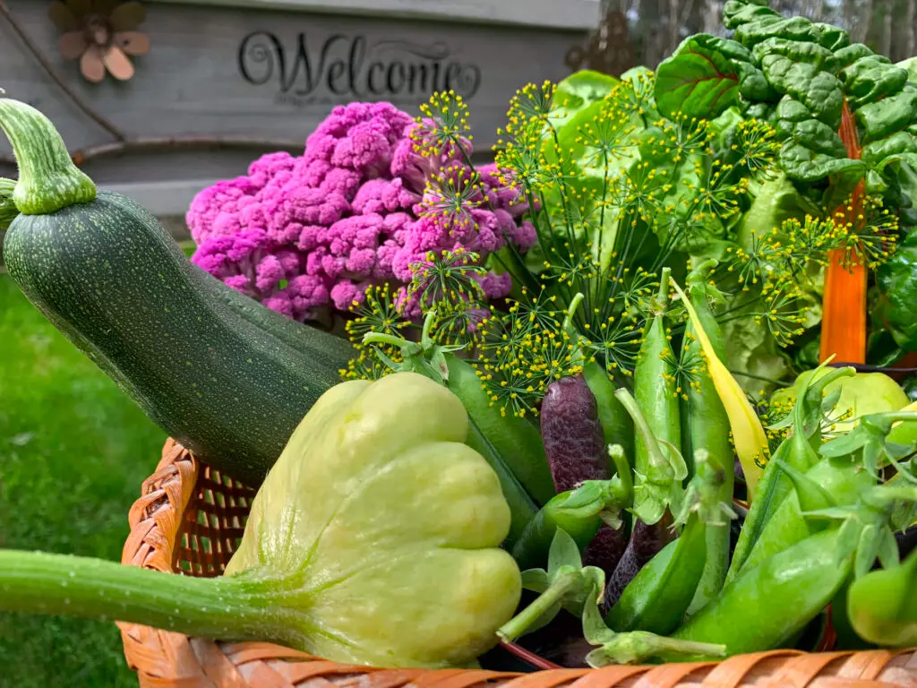 Cauliflower Companion Plants