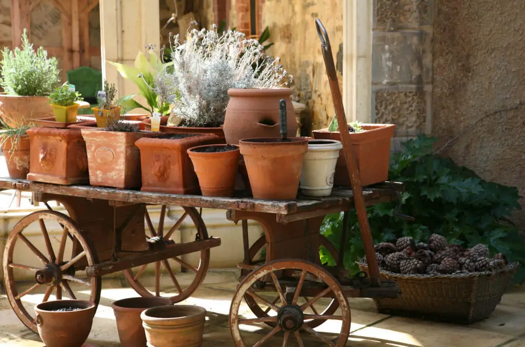 Container Gardening Planters