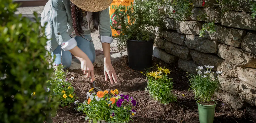 woman digging in soil to plant flowers