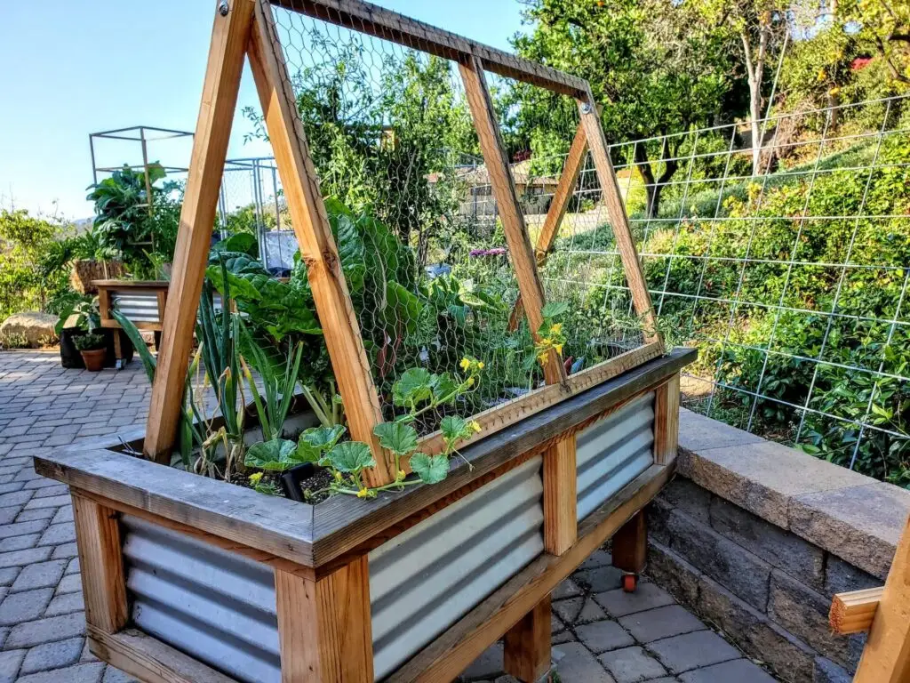 DIY Cucumber Trellis