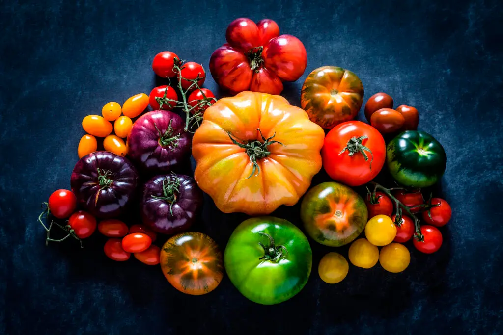 Determinate Vs. Indeterminate Tomatoes