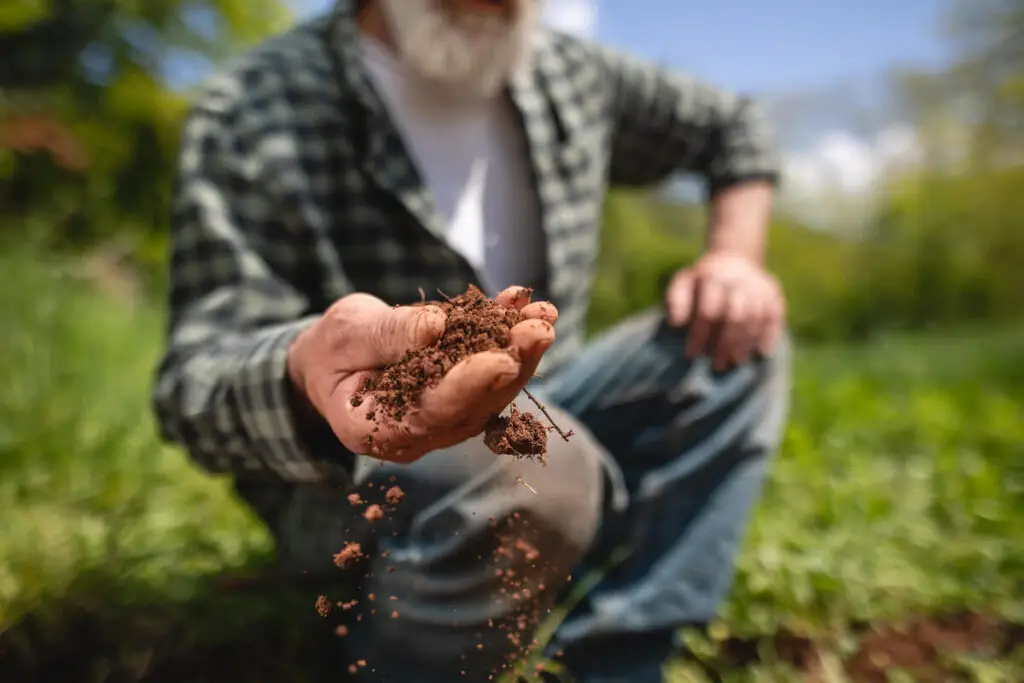 man sifting soil through hand