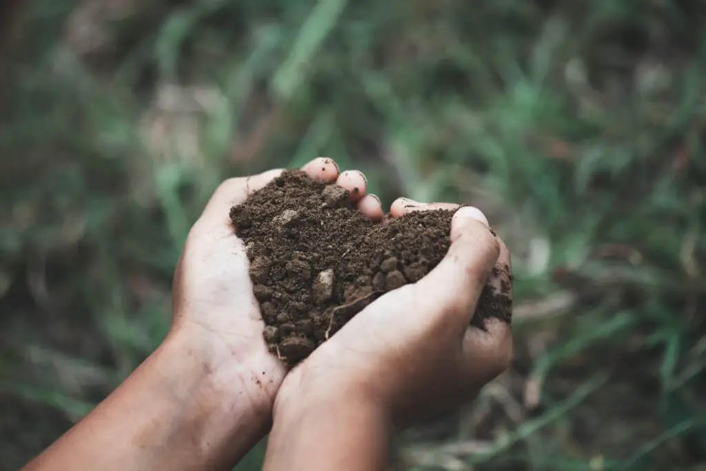Everything About Soil Compaction