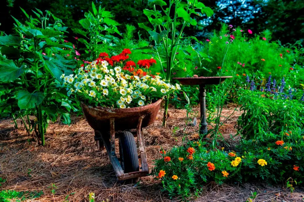Flower Garden