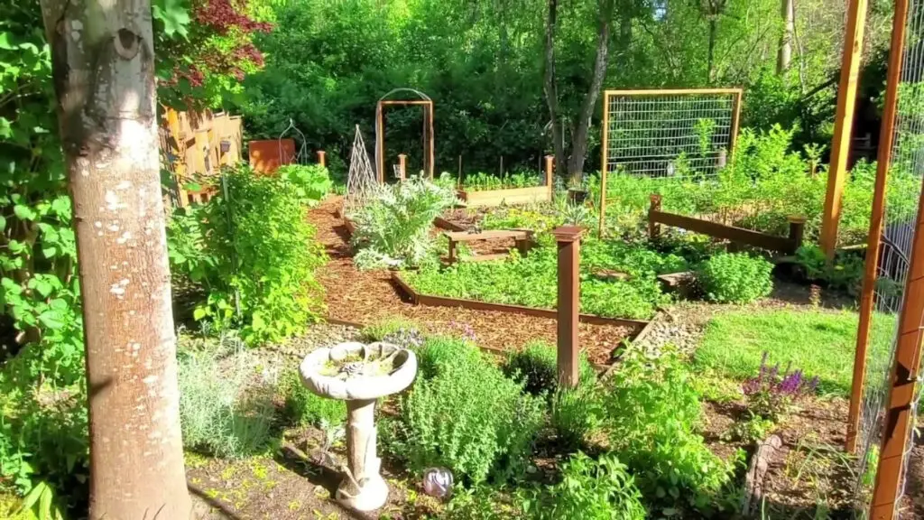 Garden Trellis Ideas