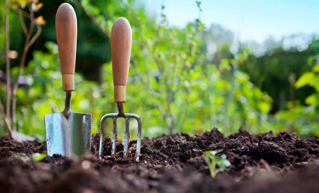 Gardeners Guide to Soil Amendments