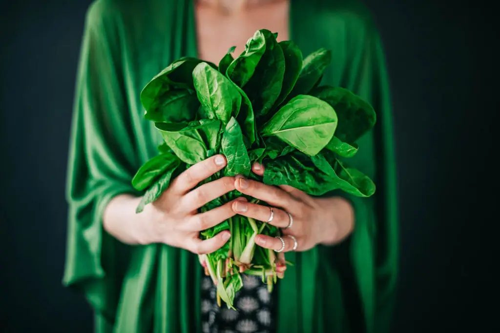 Growing Spinach