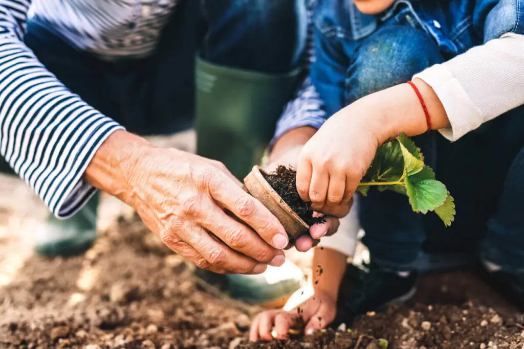 Hands in garden