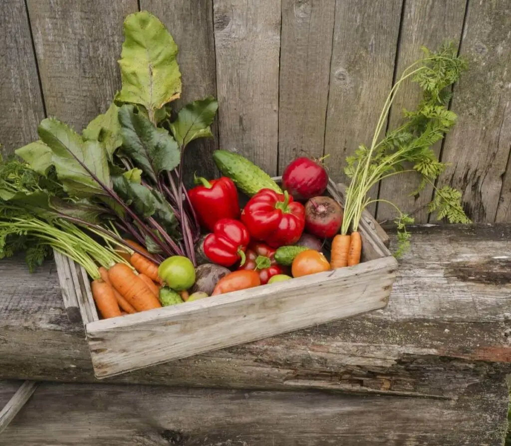 Harvesting Your Summer Crops