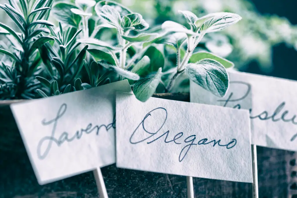 Herb Labels