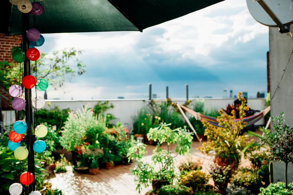 How to garden in small spaces