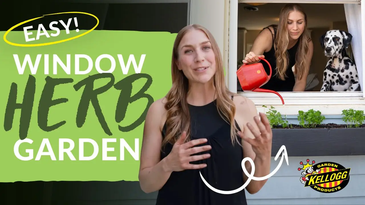 KELLOGG Youtube Thumbnail easy window herb garden