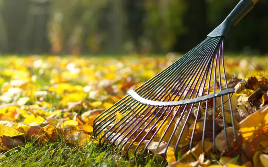 Lawn Tools