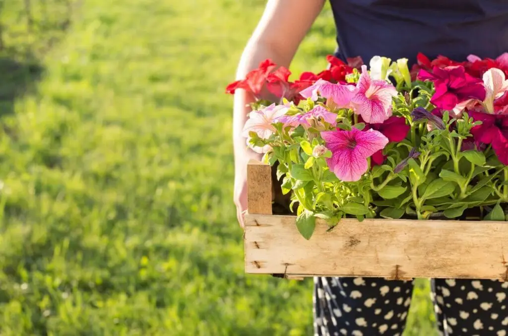 March Garden Happenings