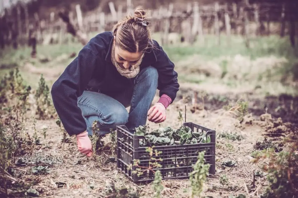 March Planting