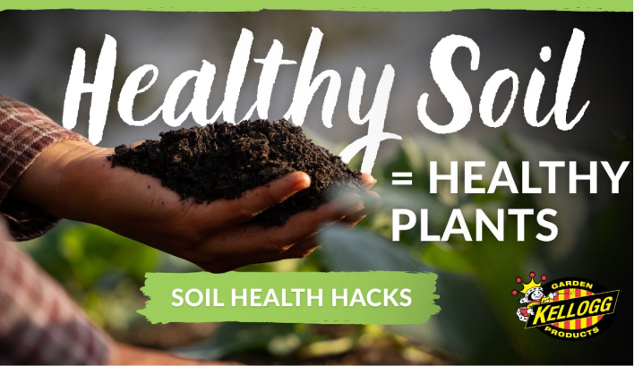 healthy soil equals healthy plants