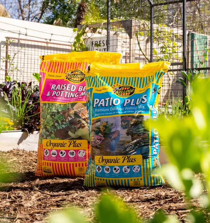 bags of soil in garden