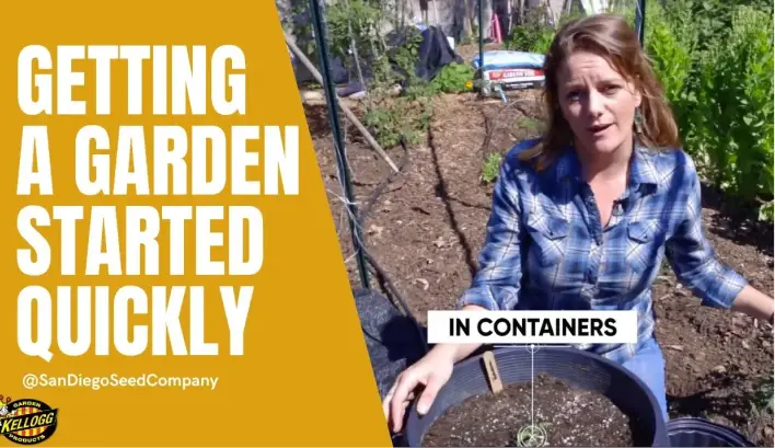 getting a garden started quickly video thumbnail
