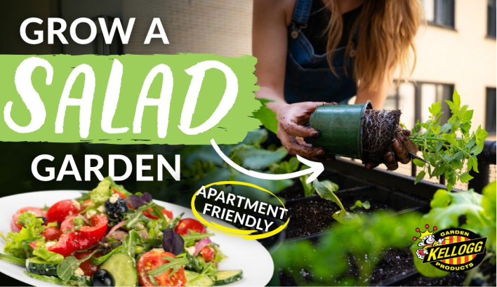 grow a salad garden video thumbnail