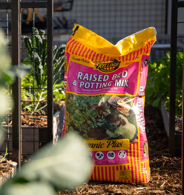 close up of raised bed and potting mix bag in garden