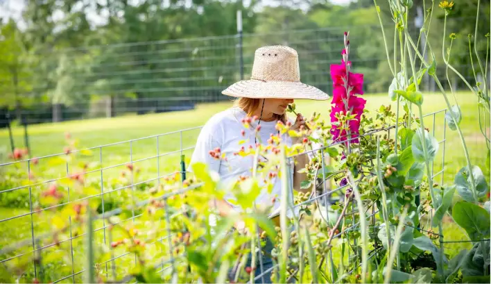 woman smelling flowers