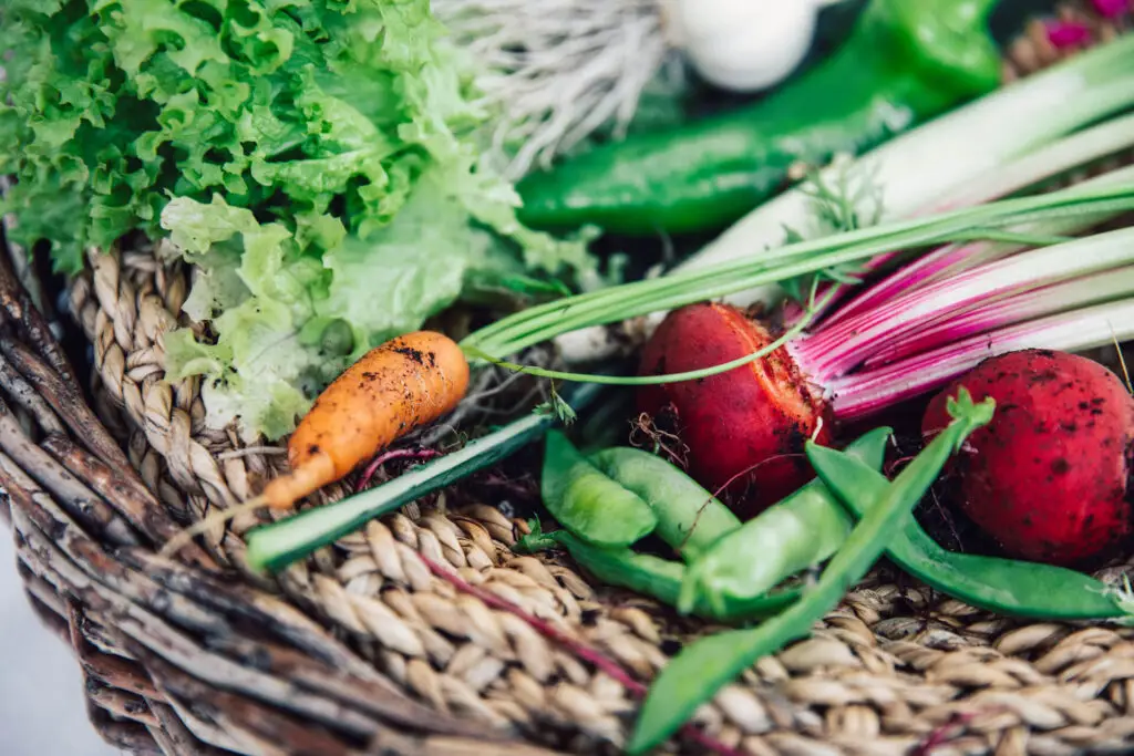 May Garden Checklist Zones 6 8