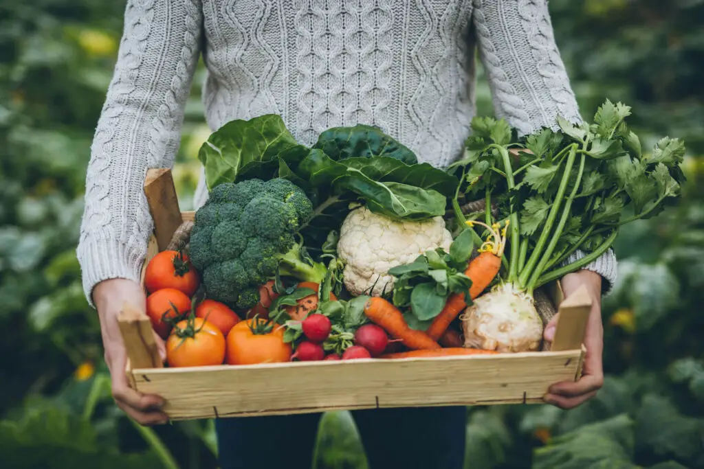 November Garden Checklists Zones 9 10