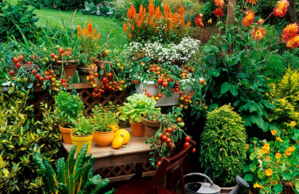 Patio Garden Ideas