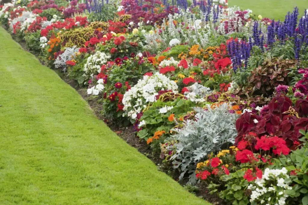 Picture Perfect LandScape