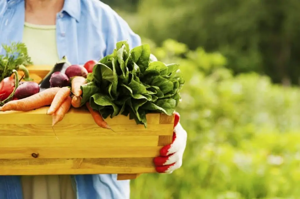 box full of vegetables