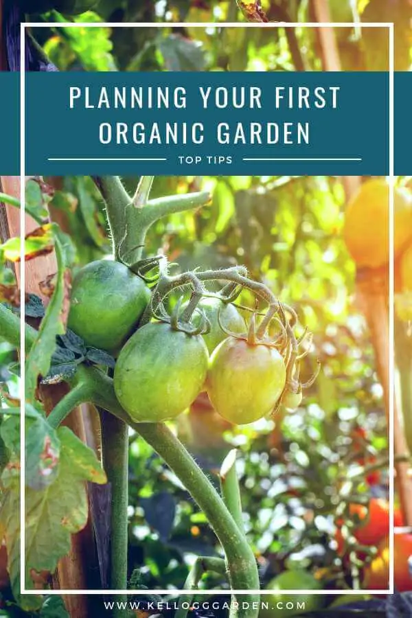 Planning your First Organic Garden Pin