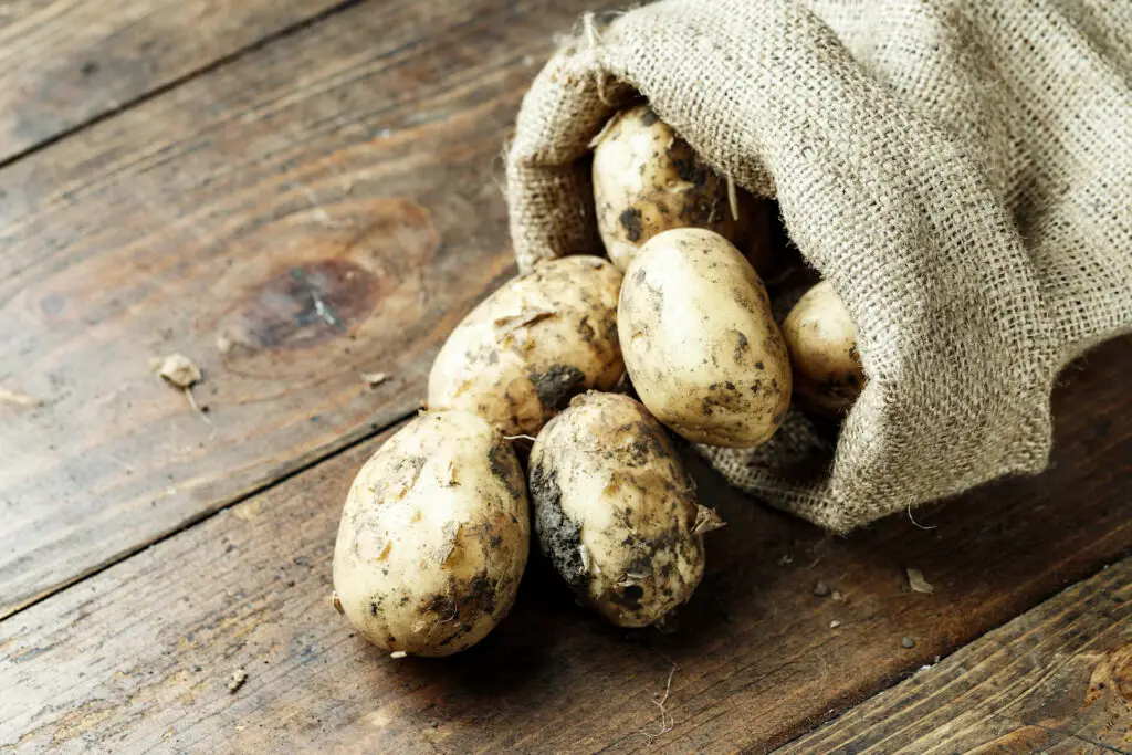 Potato Sack