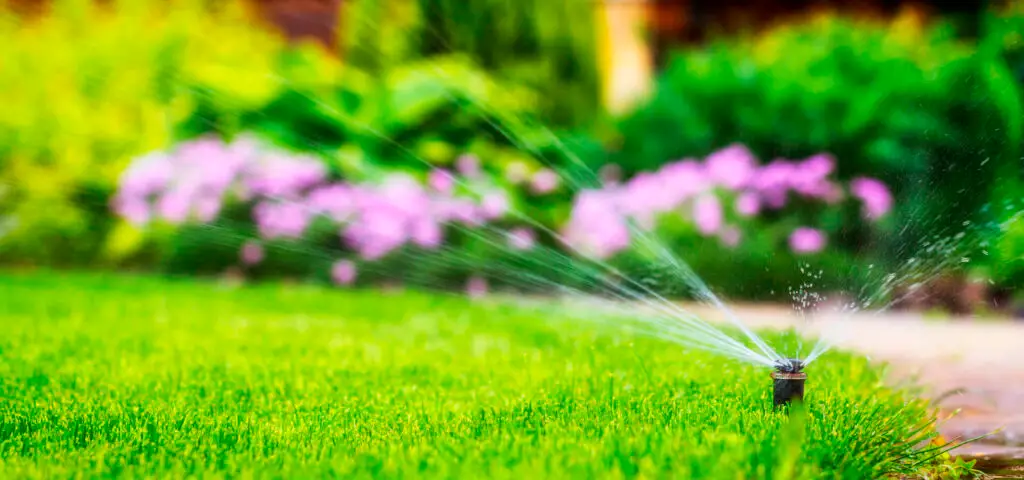 Seasonal Lawn Care Maintenance
