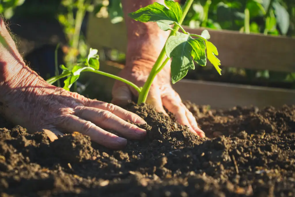 Secrets to Healthy Soil