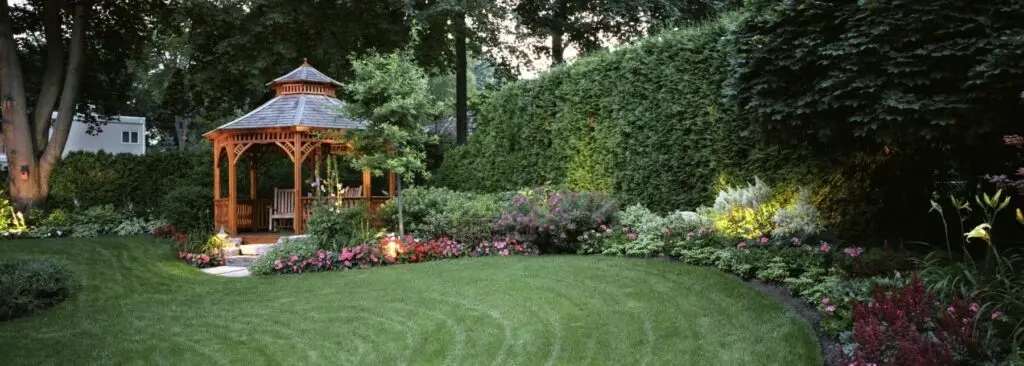 Shady Grass