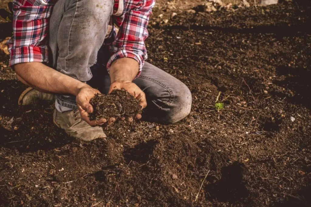 Soil Types