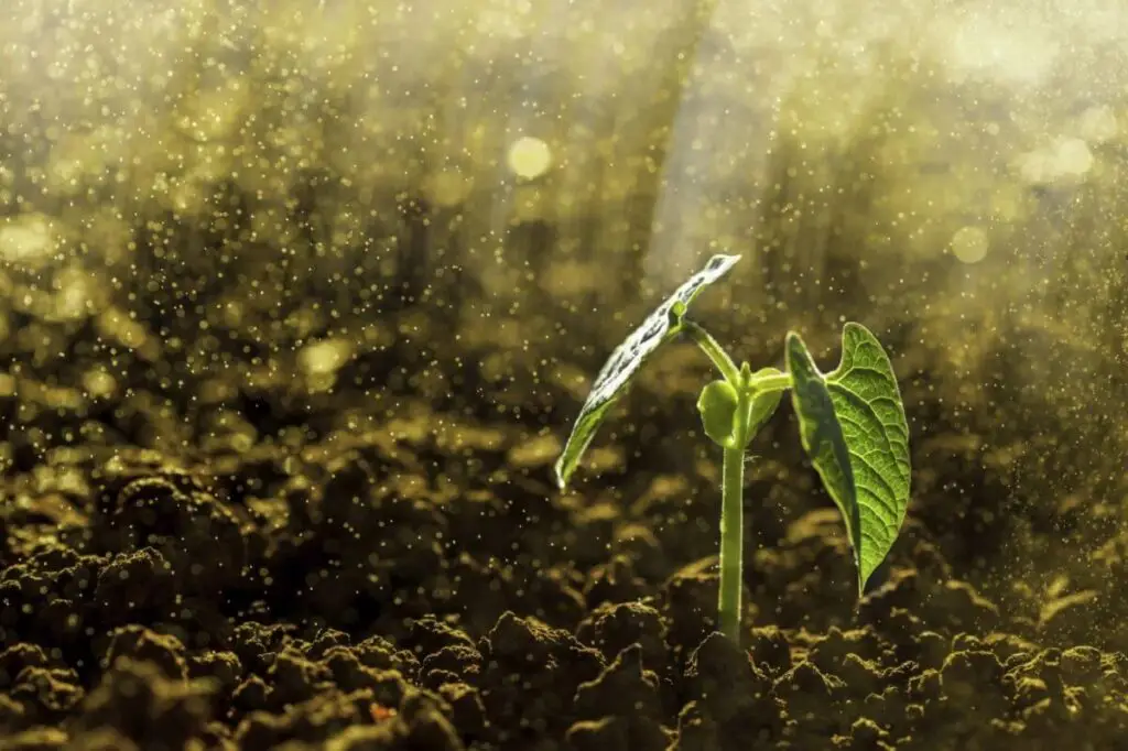 Soil Science