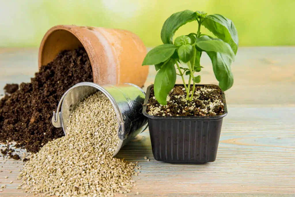 Vermiculite