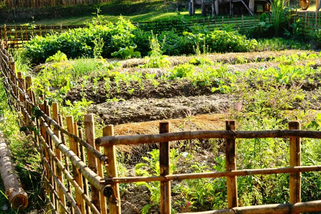 Wooden Fence Around Garden