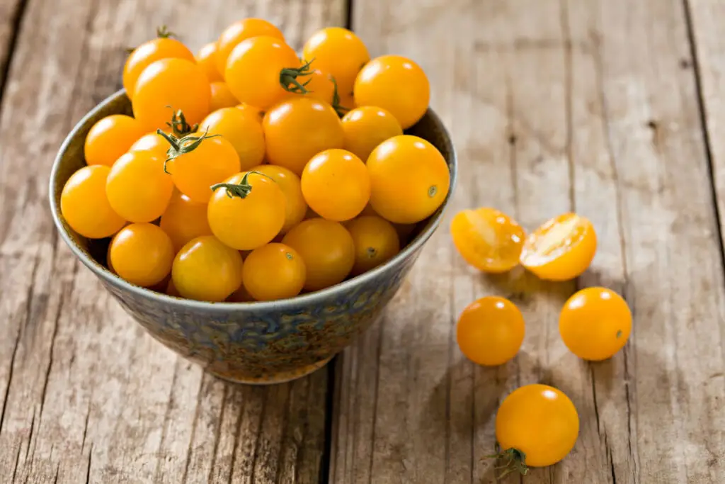 Yellow Sungold Cherry Tomatoes