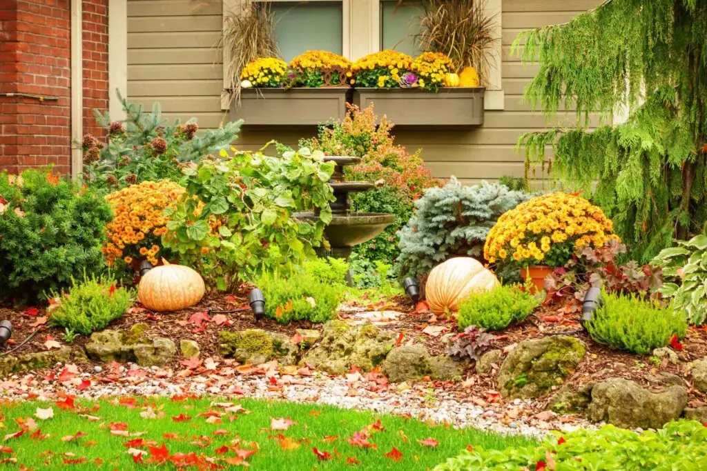 autumn garden