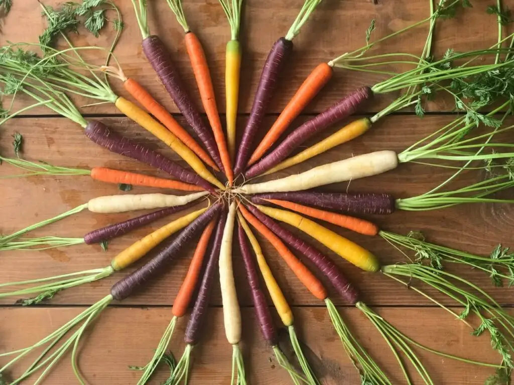 carrots