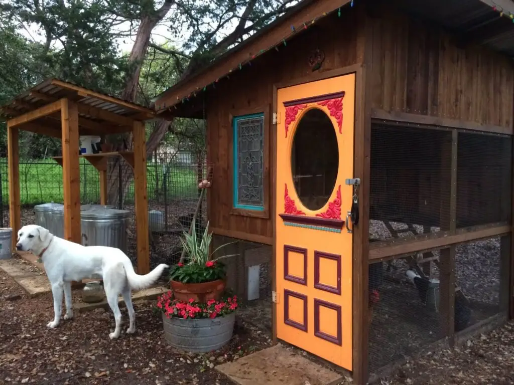 chicken coop