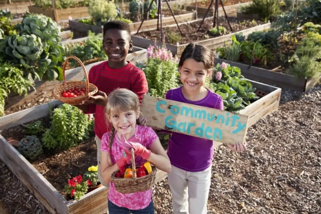 community garden