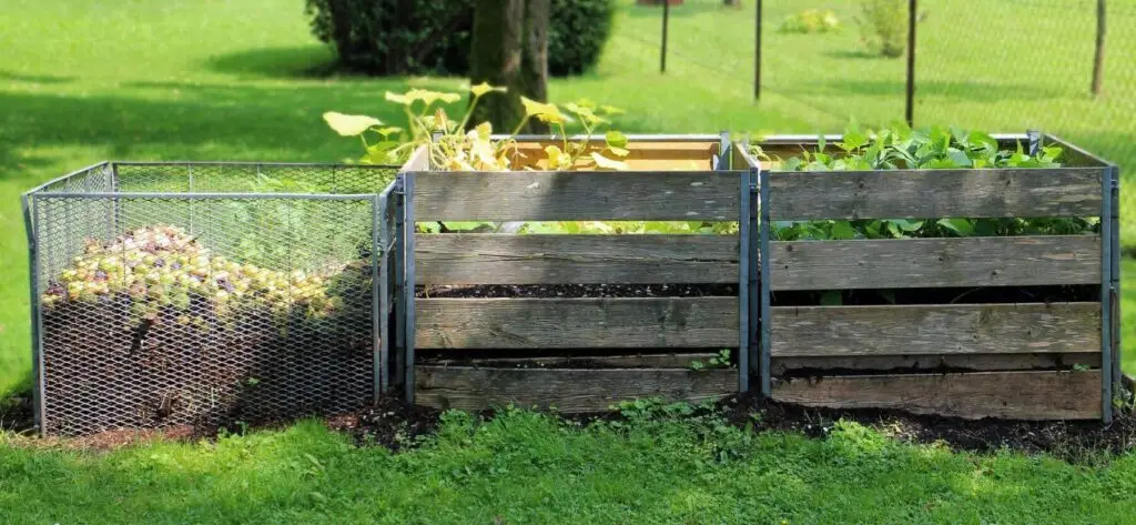 compost