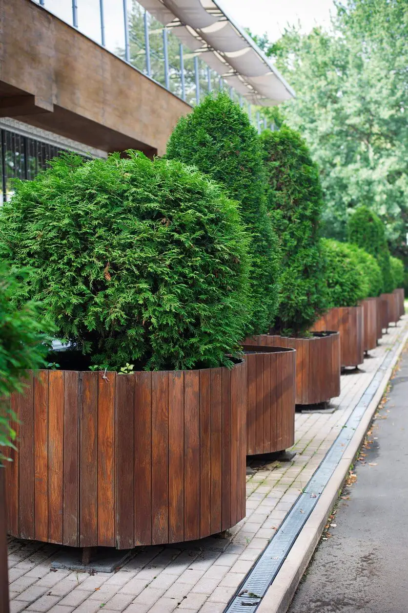 Evergreen-Container