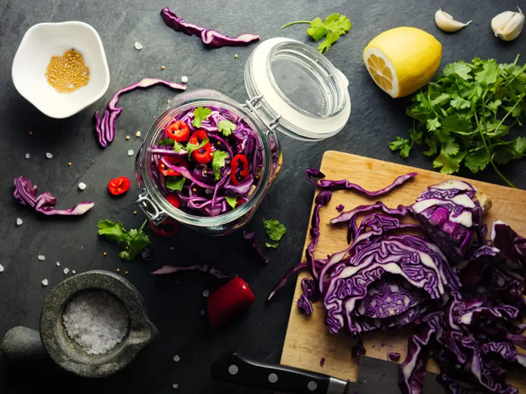 fermented foods